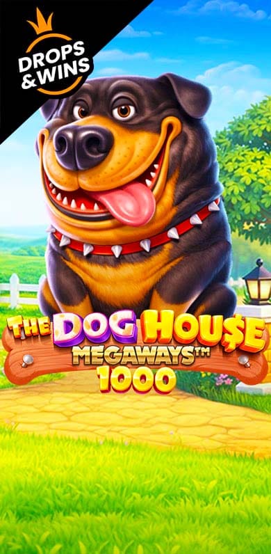 The Dog House Megaways 1000 in New_TopNew