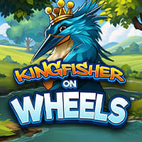 Kingfisher on Wheels in Recomended