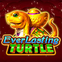 Everlasting Turtle in Recomended