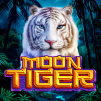 Moon Tiger in Recomended