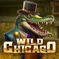 Wild Chicago in bgaming