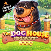 The Dog House Megaways 1000 in Sub_New