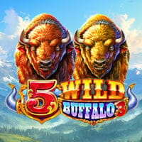 5 Wild Buffalo 3 in 4theplayer
